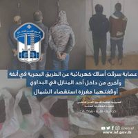عصابة سرقت أسلاك كهربائية عن الطريق البحرية في أنفة وأخرى من داخل أحد المنازل في البداوي، أوقفتهما مفرزة استقصاء الشمال.