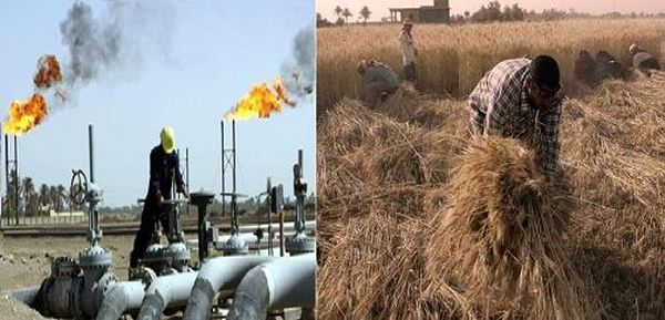 العراق يعلن عن ارتفاع انتاجه النفطي وتحقيقه الإكتفاء الذاتي في الزراعة