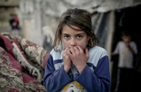 تجارة الأعضاء إلى الضوء من جديد
