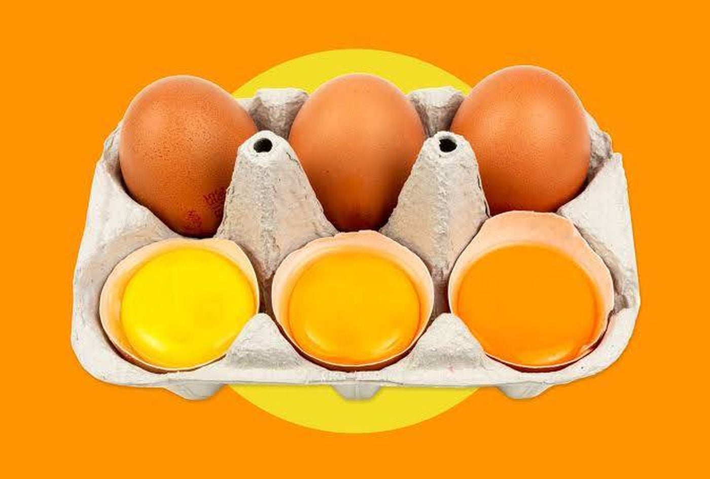 هل صفار البيض البرتقالي أكثر فائدة ؟
