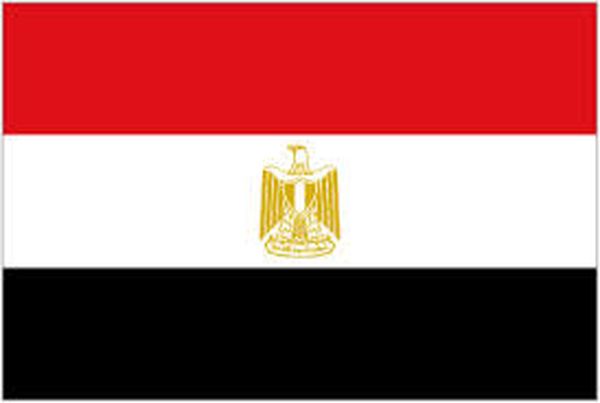 مؤتمر صحفي لإعلان النتائج الرسمية لانتخابات الرئاسة في مصر