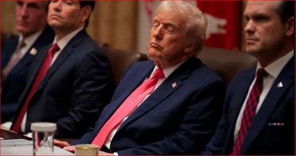 فيديو لترامب 