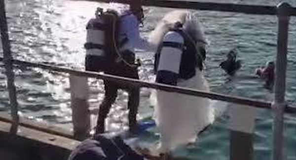 أغرب حفل زفاف تحت الماء