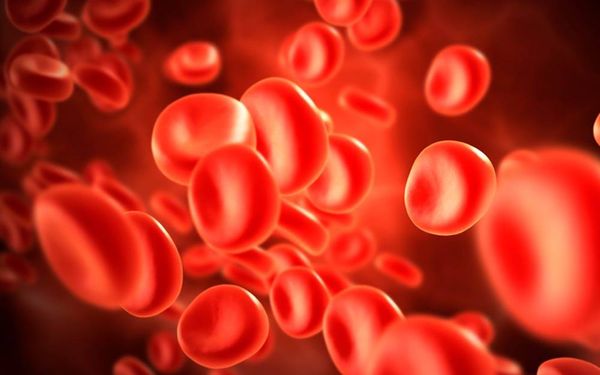 Why Everyone Should Know Their Blood Type