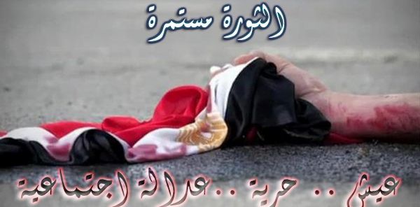 هل الحكومة الجديدة خارطة لوصول السيسي الى الحكم؟  