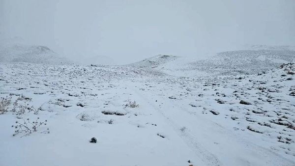 الثلوج تغطي أعالي جبل عكار