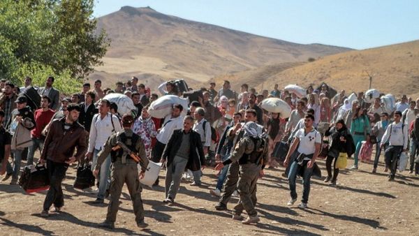 تعاون حكومي وشعبي لمساعدة نازحي الأنبار والفلوجة