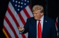 ترامب رحب بتصويت الأمم المتحدة على قرار يؤيد خطته للسلام في غزة