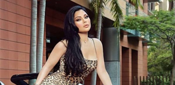 ماذا سيجمع عمرو دياب وهيفا وهبي؟