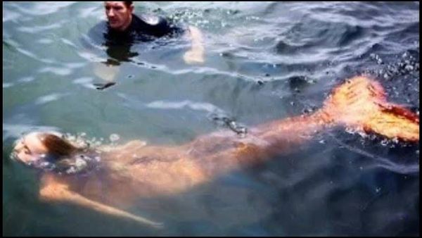 بالفيديو.. لقطات جديدة لوحش أسطوري في كاليفورنيا