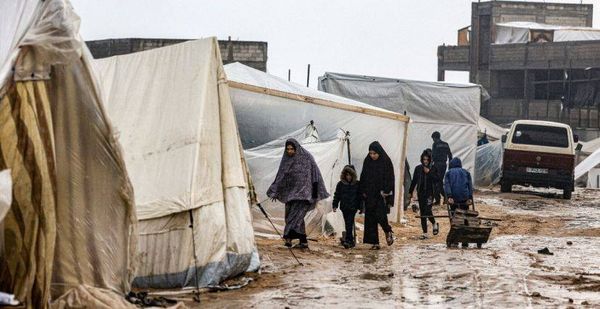 غزة: 13 حالة وفاة بسبب البرد!