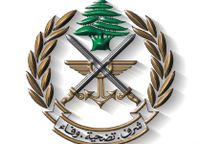 الجيش: عمليات دهم في الشراونة وإطلاق نار