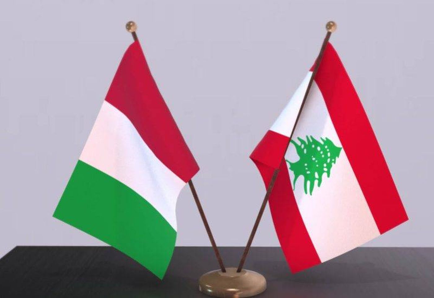 سفيرة لبنان في روما: دعم إيطاليا للجيش يضمن سيادة لبنان واستقراره