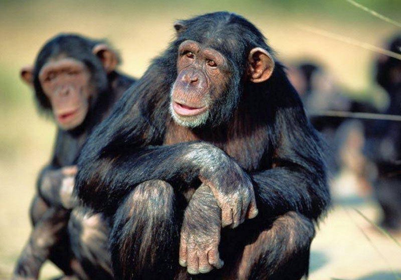 قرار أميركي مفاجئ بشأن 