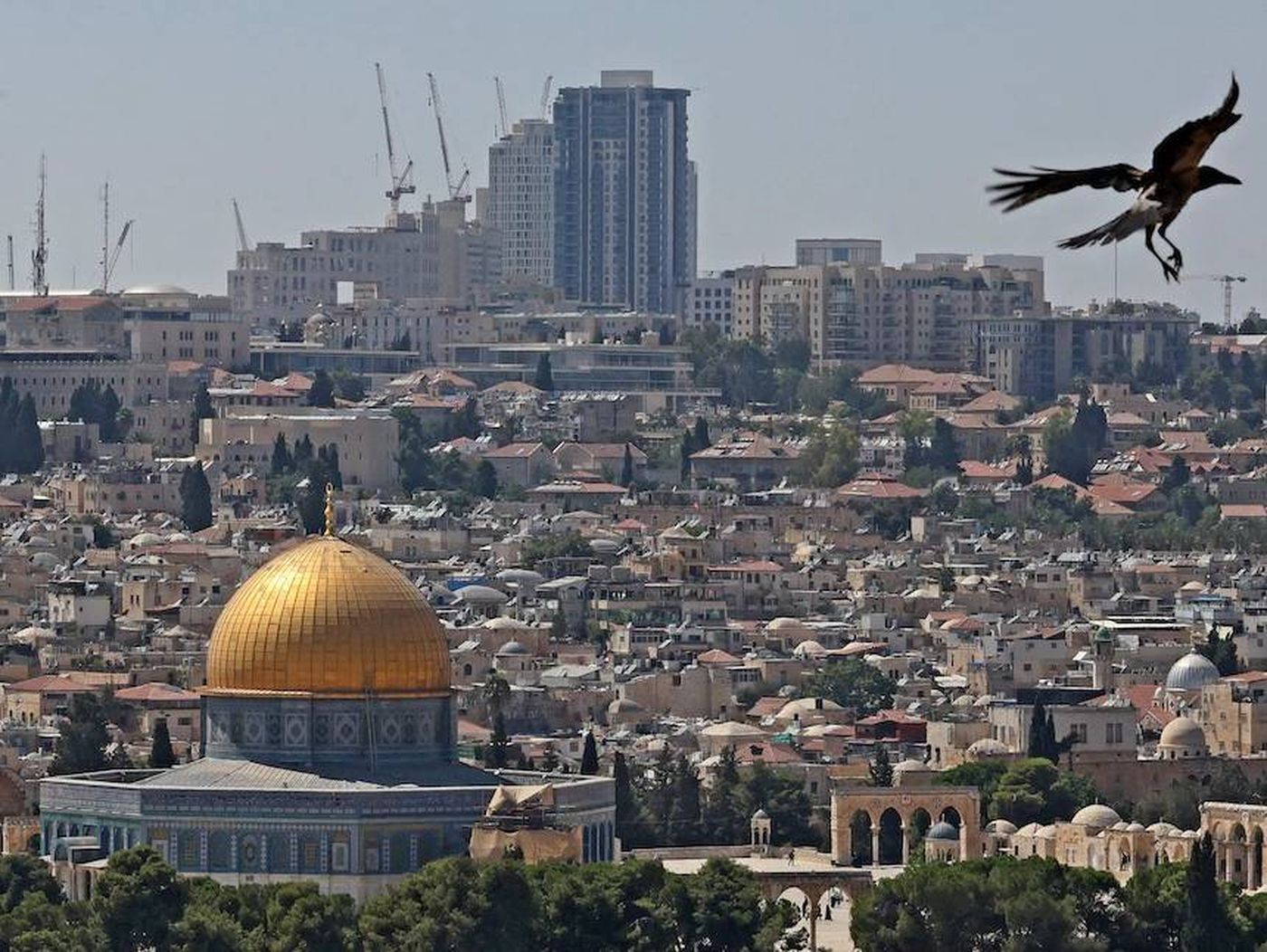 غضب أردني بعد استيلاء الاحتلال الاسرائيلي على أراضٍ أرثوذكسية في القدس