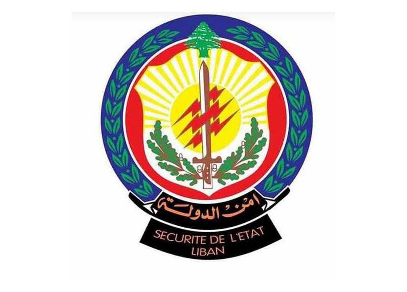 أمن الدولة: لوحات السيارة المتداولة مزورة ونلاحق المتورطين