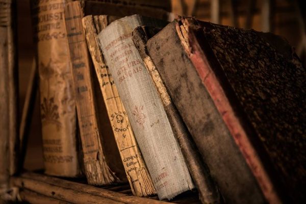 "أكل القطّ لسانك" و"عصفور بالإيد".. ما قصص هذه الأمثال؟