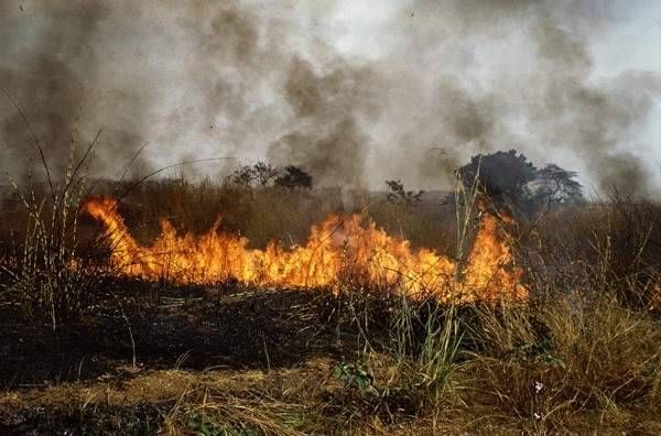 انجاز لبناني.. التنبؤ بالحريق قبل حدوثه بـ48 ساعة