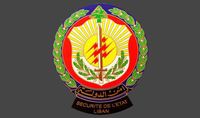 قضية الطحين.. أفران البقاع تحت مراقبة أمن الدولة