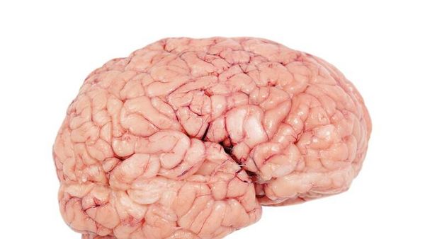 العلماء يربطون مرض الزهايمر بتأثير الوسط المحيط