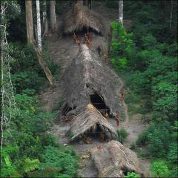 اكتشافات جديدة في غابة الأمازون