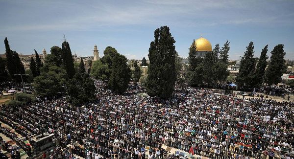 منظمة التحرير تحذر من اقتحام المستوطنين للأقصى في عيد الأضحى