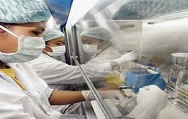 الصين تسجل أول وفاة بشرية جراء الإصابة بسلالة جديدة من إنفلونزا الطيور