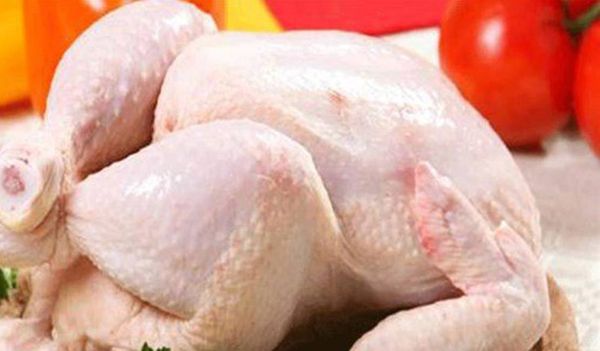 رئيس نقابة الدواجن: فائض الإنتاج يخفض أسعار الدجاج في لبنان
