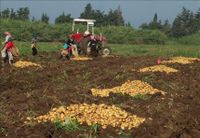 كي لا نتغنى بمزروعات أجدادنا...
د. كلاب : زراعاتنا في خطر والتغيير المناخي المهدد الأكبر