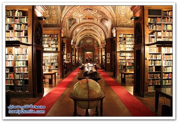 أين تتعلم؟؟