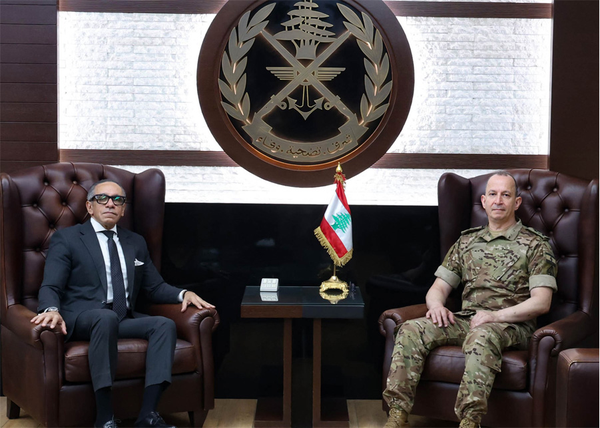 هيكل يستقبل السفير المصري ووفداً من المطارنة الموارنة في الاغتراب