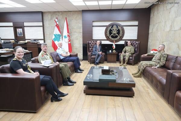 هيكل يستقبل السفير الأسترالي