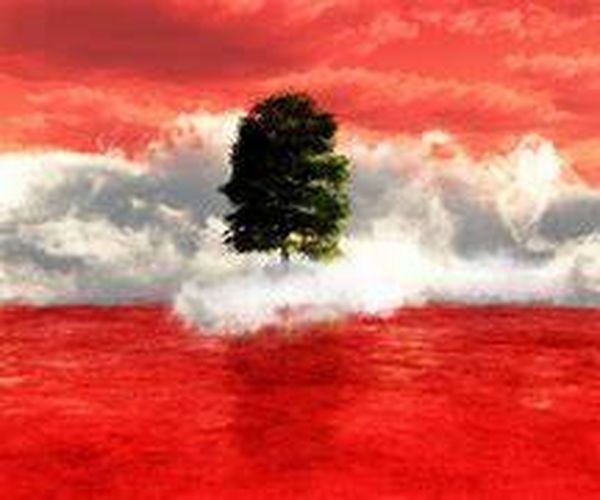 عرافة لبنانية تتنبأ الأسوأ في العام 2021.. هذا ما ينتظرنا