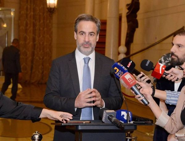 معوّض: المشاركة في الجلسة خطيئة سياسية بحقّ المنتشرين