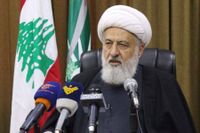 الشيخ الخطيب: الذي ينتصر الآن على أرض الجنوب هي  ثورة كربلاء