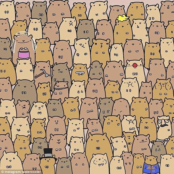 هل ستستطيعون إيجاد حبّة البطاطس في هذه الصورة؟