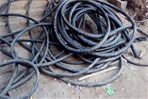 عادت الكهرباء فكشفت السرقة