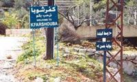 العدو "الإسرائيلي" يسرق 500 رأس ماعز من مرتفعات كفرشوبا