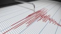 بالفيديو - ذعر ورعب في تركيا عند وقوع الزلزال المدمر