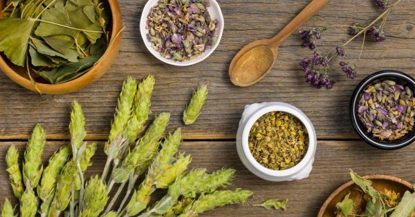 ما هي الأعشاب التي تحفّز الغدة الدرقية؟