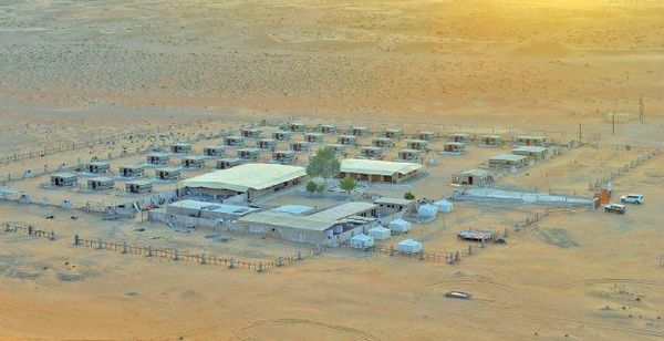 صحراء عُمان: تجربة الحياة وراء تلال الرمال