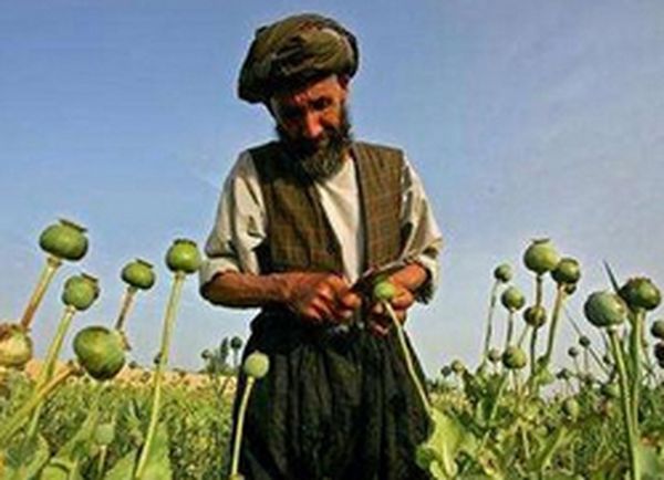 تعاون روسي أفغاني لمكافحة إنتاج المخدرات وتهريبها في شمال أفغانستان 