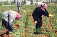مزارعو الهرمل ناشدوا تأمين المياه للمنطقة