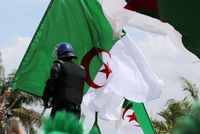 الجيش الجزائري: توقيف 11 شخصا يدعمون الجماعات الإرهابية