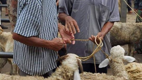 عيد الأضحى هذا العام في لبنان بلا «أضاحي»... والاستعدادات حصراً لمن استطاع إليها سبيلاً!