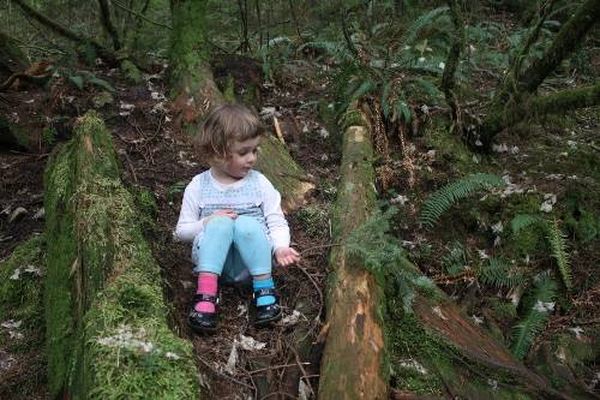 صدمة لزوجين تركا طفلهما وحده في الغابة "لمعاقبته"