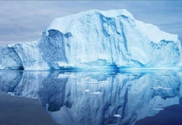 باحثون يوثّقون حياة الأسماك في بيئة بحرية نادرة