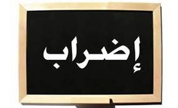 موظفو الإدارات العامة في النبطية التزموا بالإضراب الذي دعت اليه رابطة موظفي الإدارات العامة من دون إنجاز معاملات المواطنين