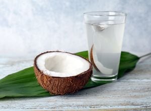 ماء جوز الهند أم مشروبات الطاقة للترطيب؟