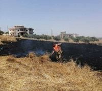 إخماد حريق في حقل قمح في مجدل سلم